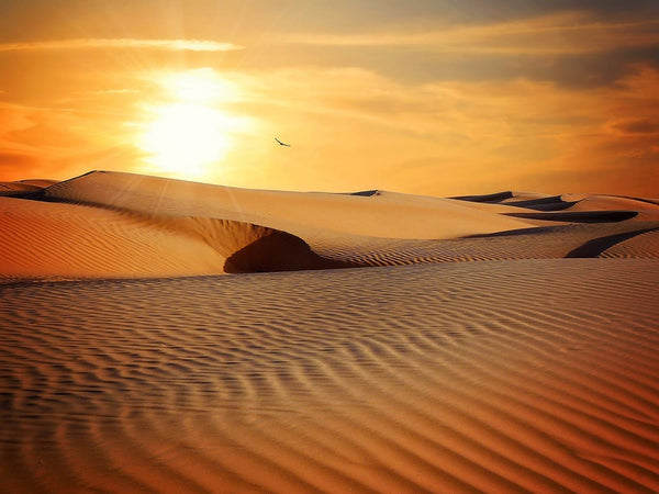 Rêver de désert : Quelles significations ?