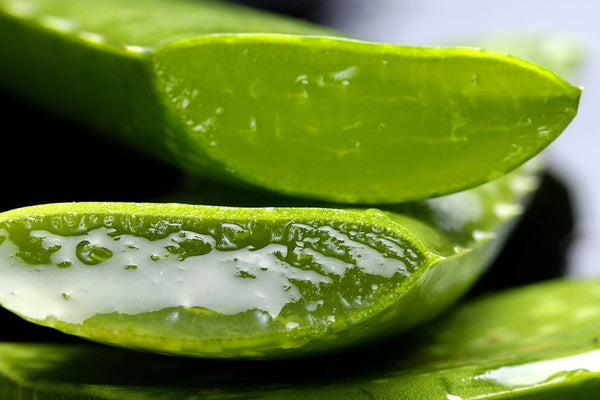Dormir avec de l'aloe vera sur le visage: Bonne ou mauvaise idée