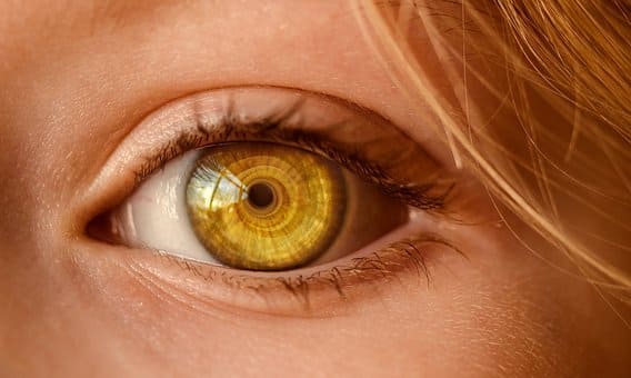 Comment dormir les yeux ouverts?