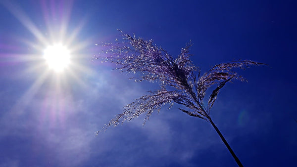 Comment dormir avec la canicule ?