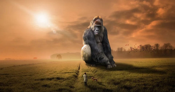 rever de singe