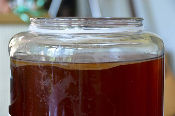 kombucha sommeil