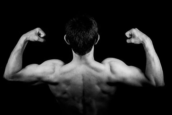 Quelle est l’importance du sommeil pour la récupération musculaire ?