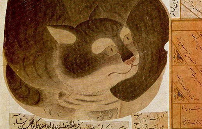 Rêver de chat Islam: Quelles significations?