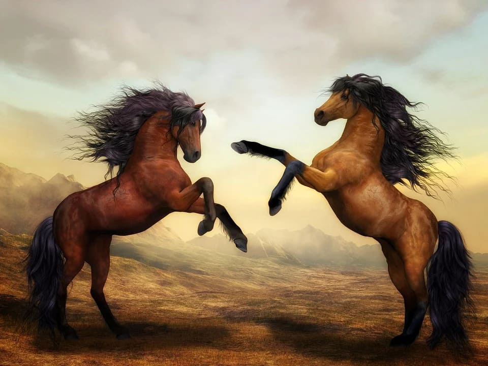 Rêver d’un cheval agressif: Quelles significations?