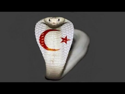 reve de serpent islam