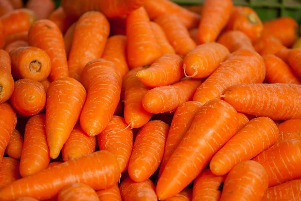 Rêver de carotte: Quelles significations?
