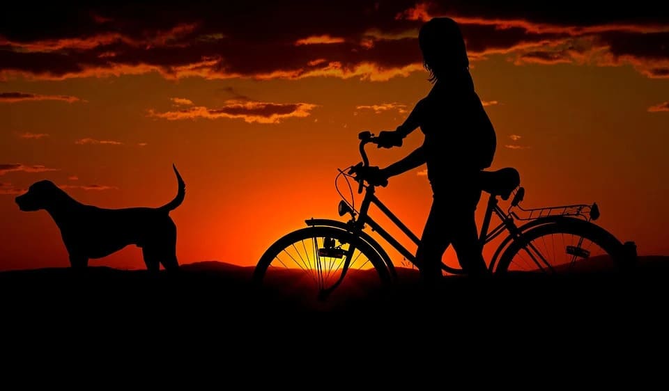 Rêver de vélo: Quelles significations?