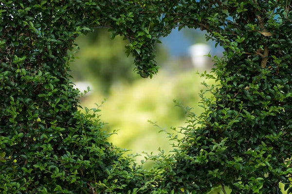 Rêver d'être amoureuse: Quelles significations?