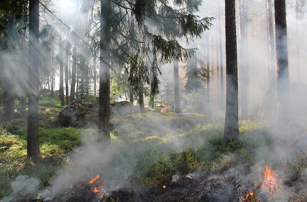Rêver d'incendie: Quelles significations?