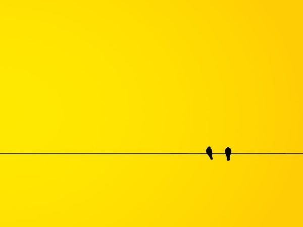 Rêver de la couleur jaune: Quelles significations?