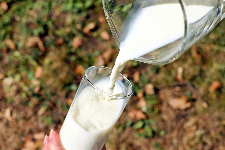 Rêver de lait: Quelles significations?