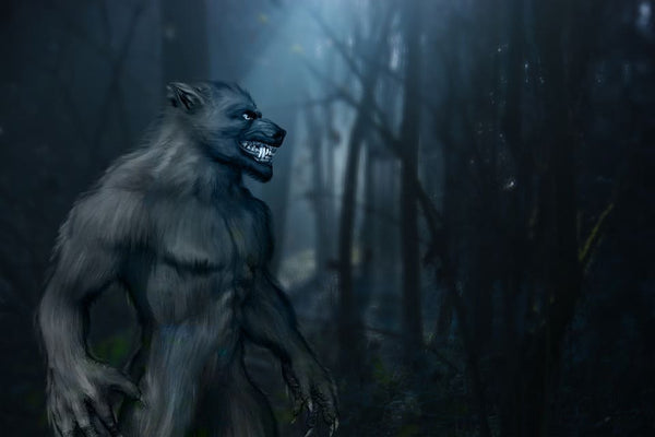 Rêver de Loup Garou : Quelles significations?