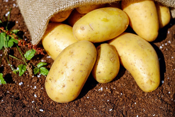 Rêver de pomme de terre: Quelles significations?