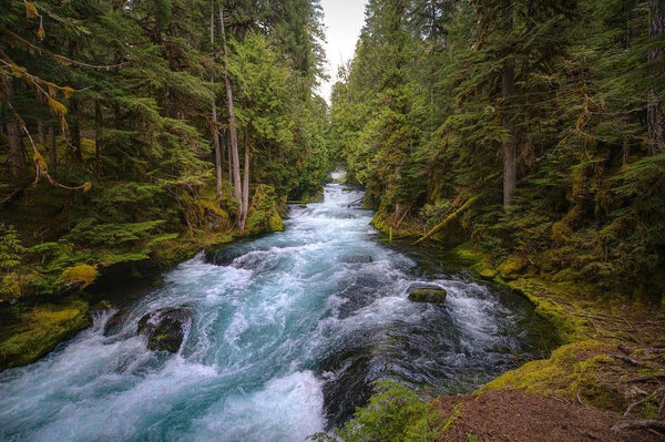 Rêver de rivière: Quelles significations?