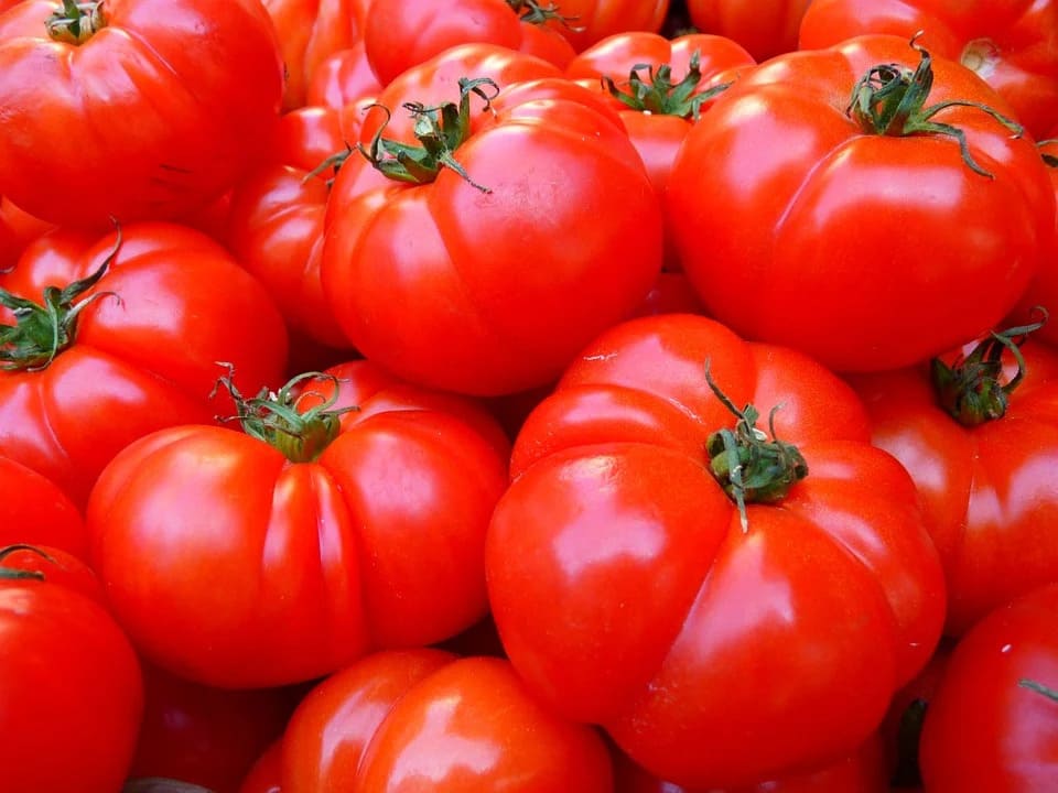 Rêver de tomate: Quelles significations?