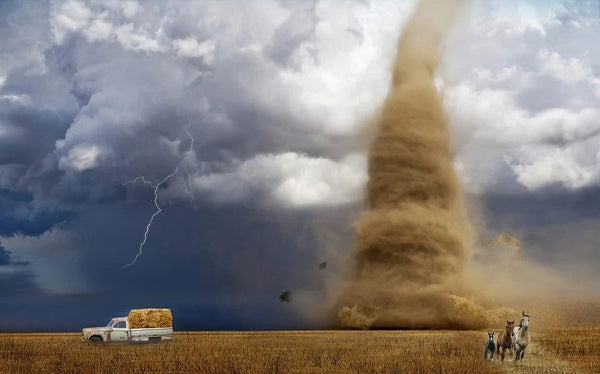 rever de tornade