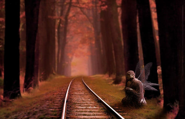reve de train