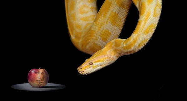 Rêver de tromper son copain avec son ex: Quelles significations?