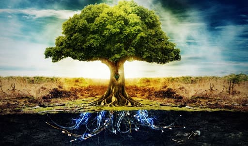 arbre vie sommeil